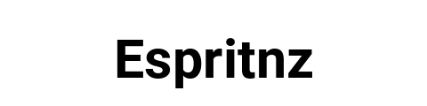 espritnz.com