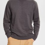 Men Esprit Dark Grey Made of recycled material: sweatshirt Sweatshirts & Hoodies XF4444942