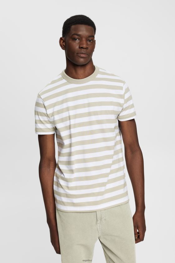 Men Esprit Dusty Green Striped crewneck T-shirt T-Shirts XF4444768 - Image 1