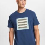 Men Esprit Grey Blue Jersey T-shirt with print, 100% cotton T-Shirts XF4444585