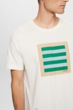 Men Esprit Ice Jersey T-shirt with print, 100% cotton T-Shirts XF4444583 - Image 3