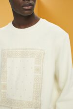 Men Esprit Ice Sweatshirt with front print Sweatshirts & Hoodies XF4444711 - Image 3