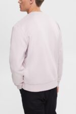 Men Esprit Lavender Sweatshirt with a zip pocket Sweatshirts & Hoodies XF4444785 - Image 3