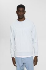 Men Esprit Pastel Blue Logo print sweatshirt Sweatshirts & Hoodies XF4444678