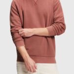 Men Esprit Terracotta Sustainable crew neck sweatshirt Sweatshirts & Hoodies XF4444937