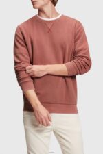 Men Esprit Terracotta Sustainable crew neck sweatshirt Sweatshirts & Hoodies XF4444937
