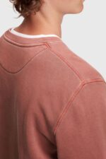 Men Esprit Terracotta Sustainable crew neck sweatshirt Sweatshirts & Hoodies XF4444937 - Image 3