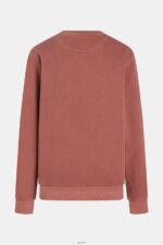 Men Esprit Terracotta Sustainable crew neck sweatshirt Sweatshirts & Hoodies XF4444937 - Image 4